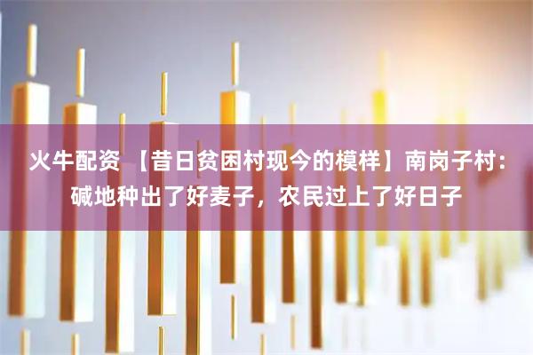 火牛配资 【昔日贫困村现今的模样】南岗子村：碱地种出了好麦子，农民过上了好日子