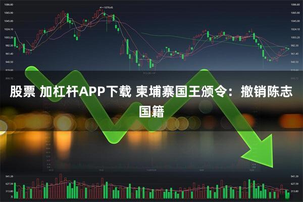 股票 加杠杆APP下载 柬埔寨国王颁令:撤销陈志国籍